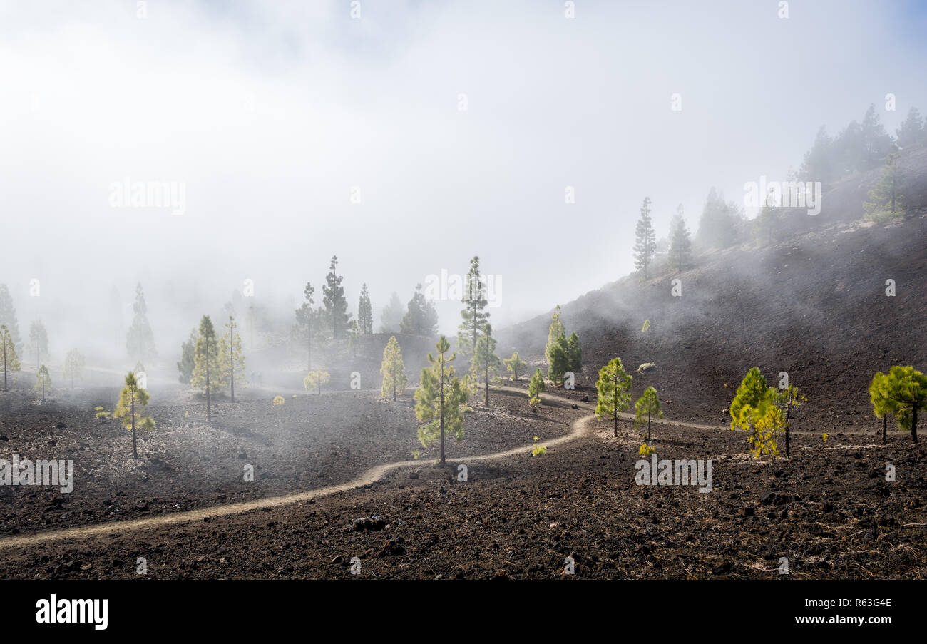 Samara senderos de montaña en la niebla Foto de stock