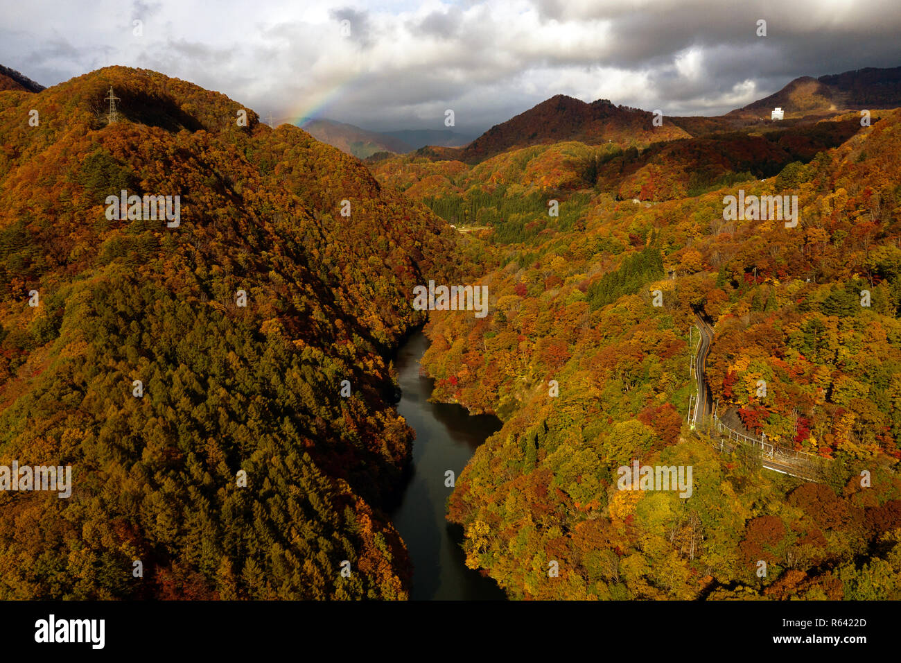 Carretera y un río en otoño del bosque. Paisaje aéreo de temporada de otoño por zumbido. Foto de stock