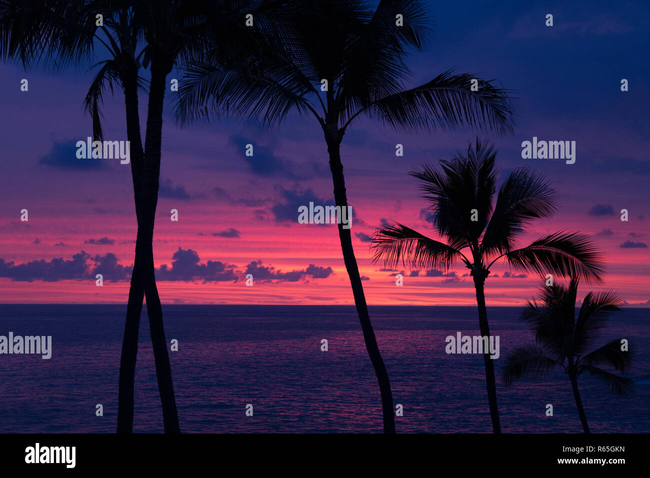 Por la noche el estado de ánimo en el palm beach, Big Island, Hawai Foto de stock
