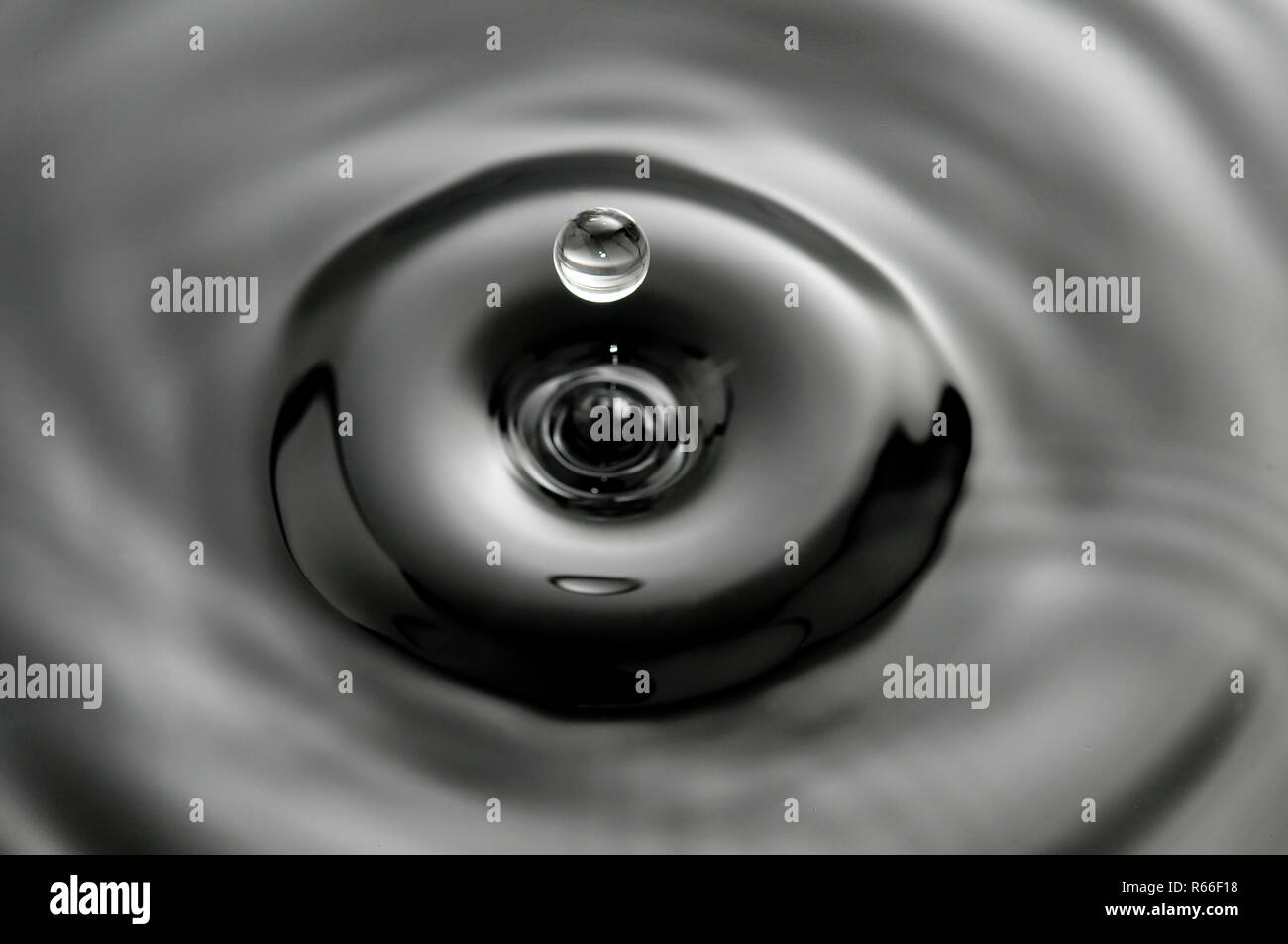 Gota cayendo al agua en blanco y negro Fotografía de stock Alamy