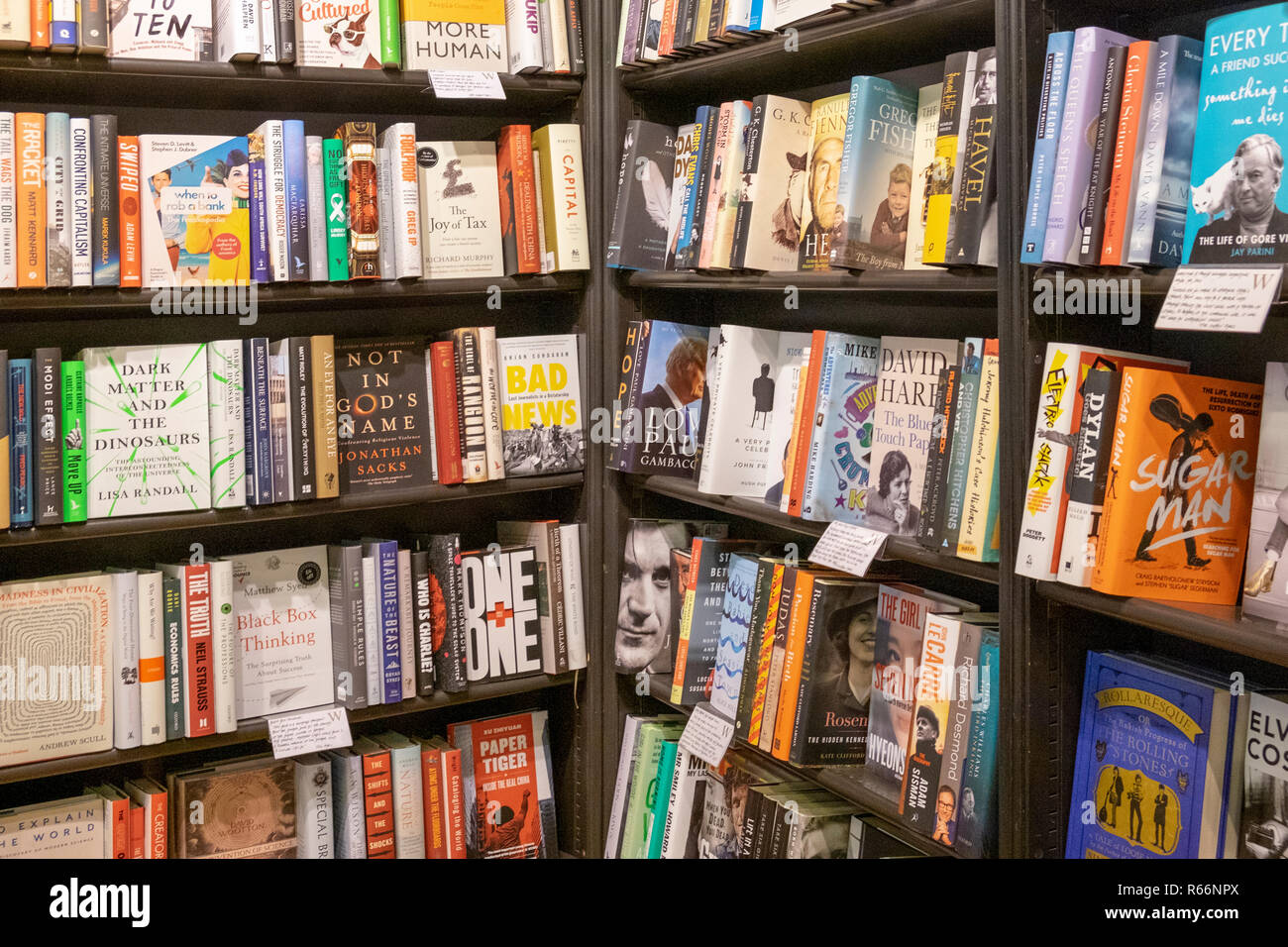 Materialismo realeza difícil Filas de libros en venta en una librería, REINO UNIDO Fotografía de stock -  Alamy
