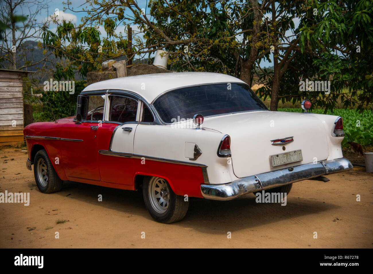 1955 Chevrolet Bel Air en Cuba Fotografía de stock - Alamy