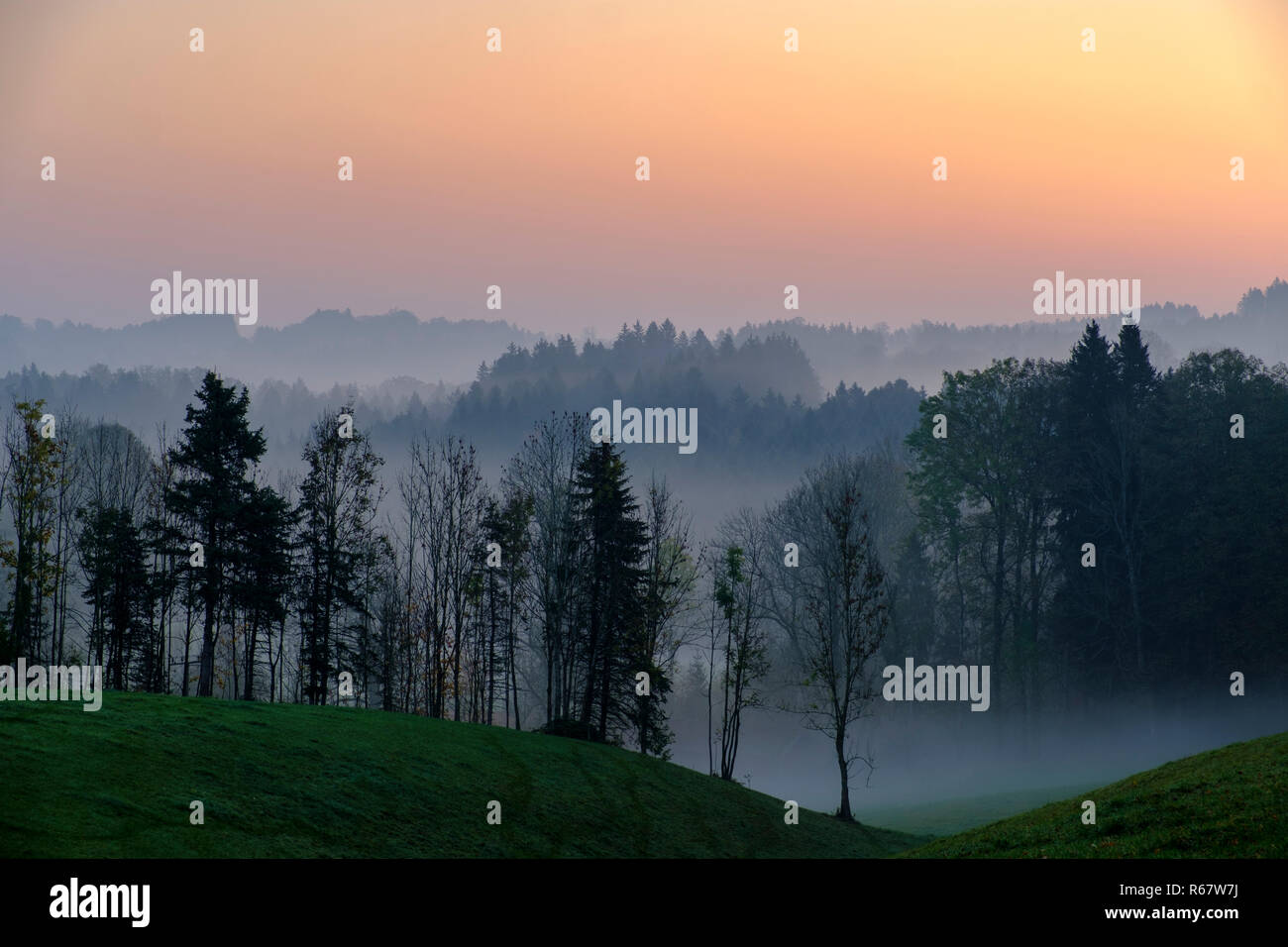 Amanecer con bruma sobre bosques, Giesberg, cerca de Miesbach, Alta Baviera, Baviera, Alemania Foto de stock