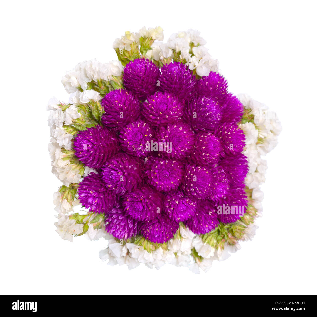 Bouquet con Gomphrena y statice aislado en blanco. Foto de stock