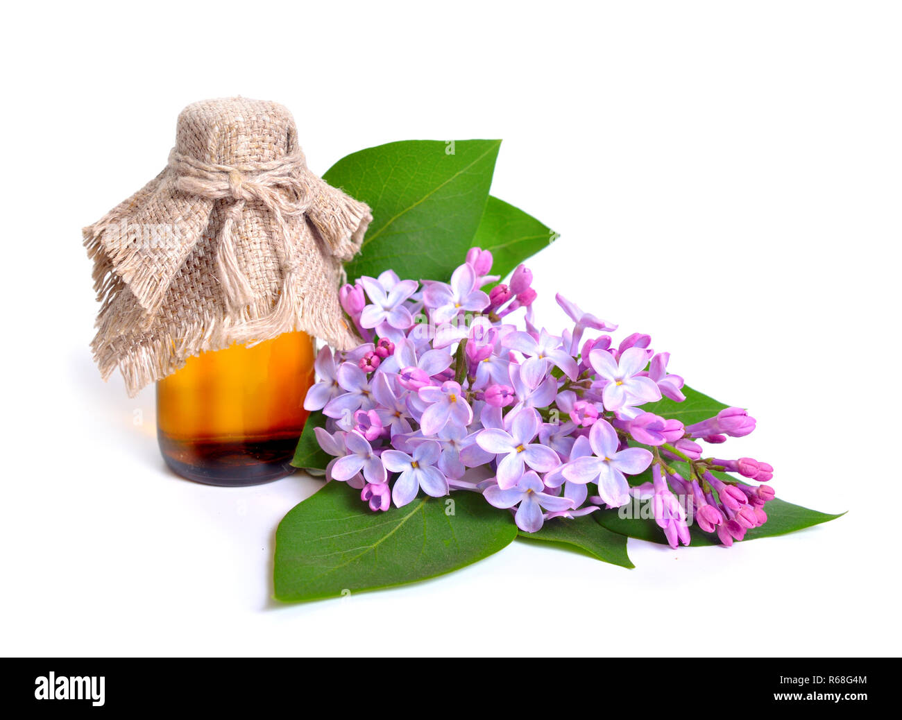 Syringa o lila flores con botella de farmacéuticos. En aislados Foto de stock