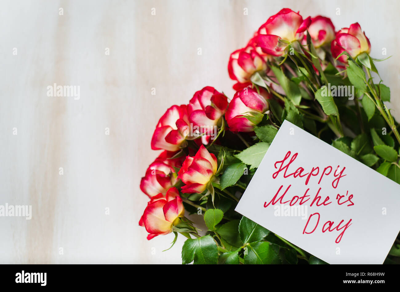 Feliz Día de la Madre Día del concepto-- Tarjeta postal con rosas  Fotografía de stock - Alamy