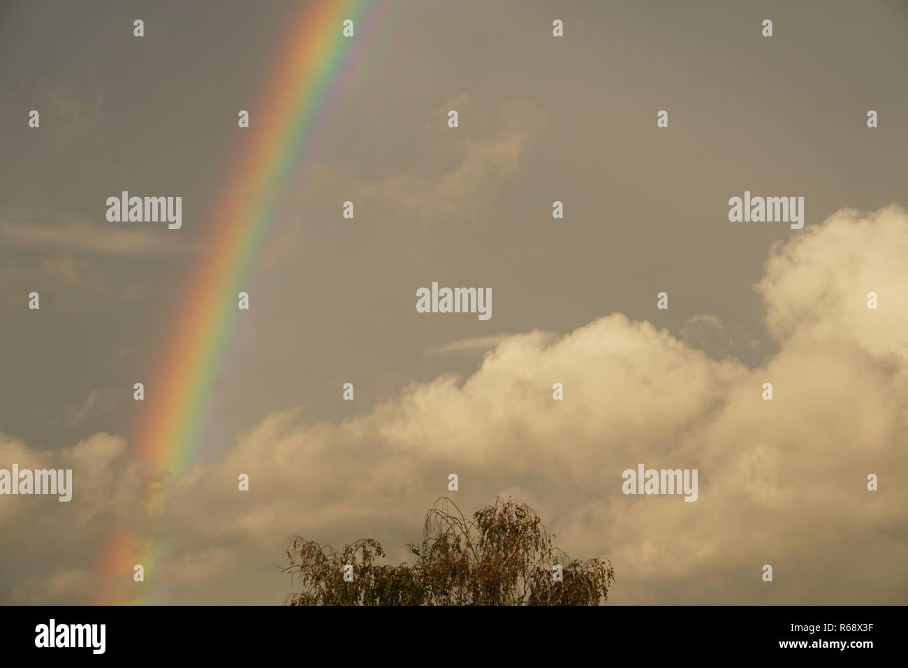 Colorido arco iris en las nubes hinchadas al atardecer Foto de stock