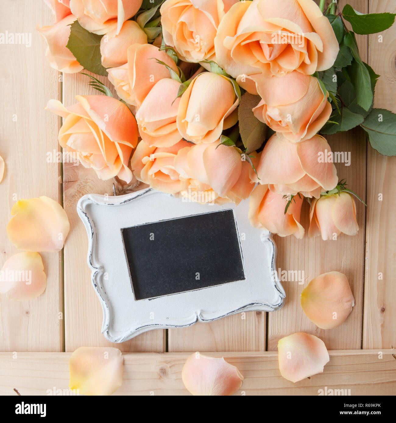 Rosas color durazno Fotografía de stock - Alamy