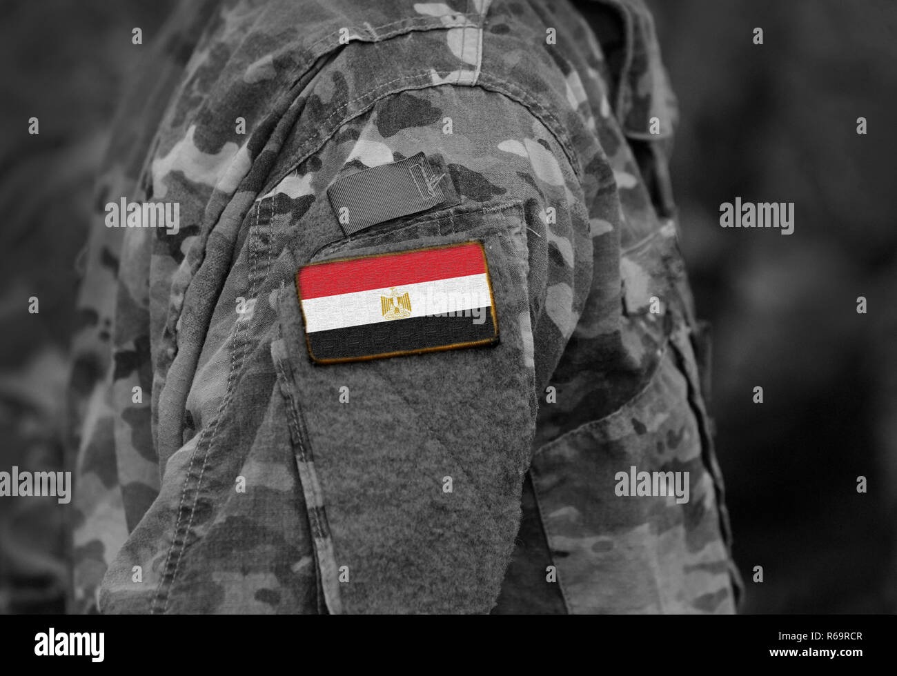 La bandera de Egipto por soldados del brazo. Ejército, tropas, militares, África (collage). Foto de stock