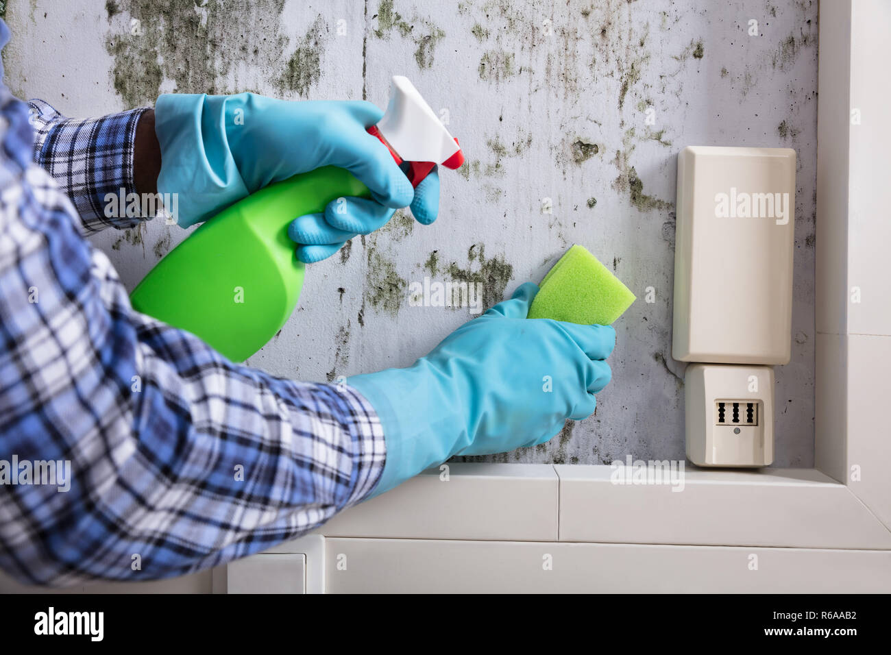 Mano Con Guante Limpieza Del Molde De La Pared Foto Imagen De