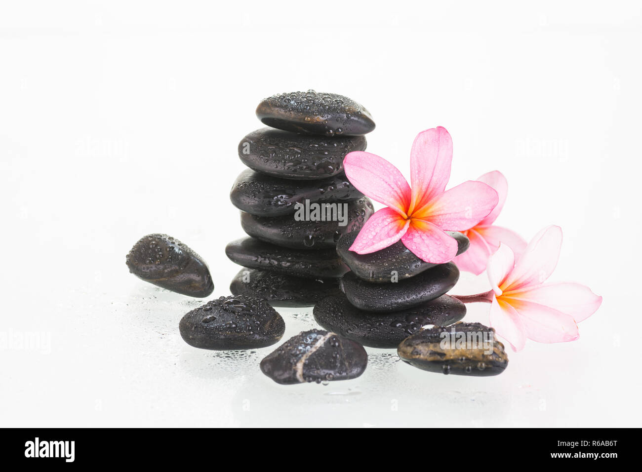 Plumeria flores y gotas de agua sobre las piedras negras Fotografía de stock - Alamy Plumeria flores y gotas de agua sobre las piedras negras Fotografía de stock - Alamy