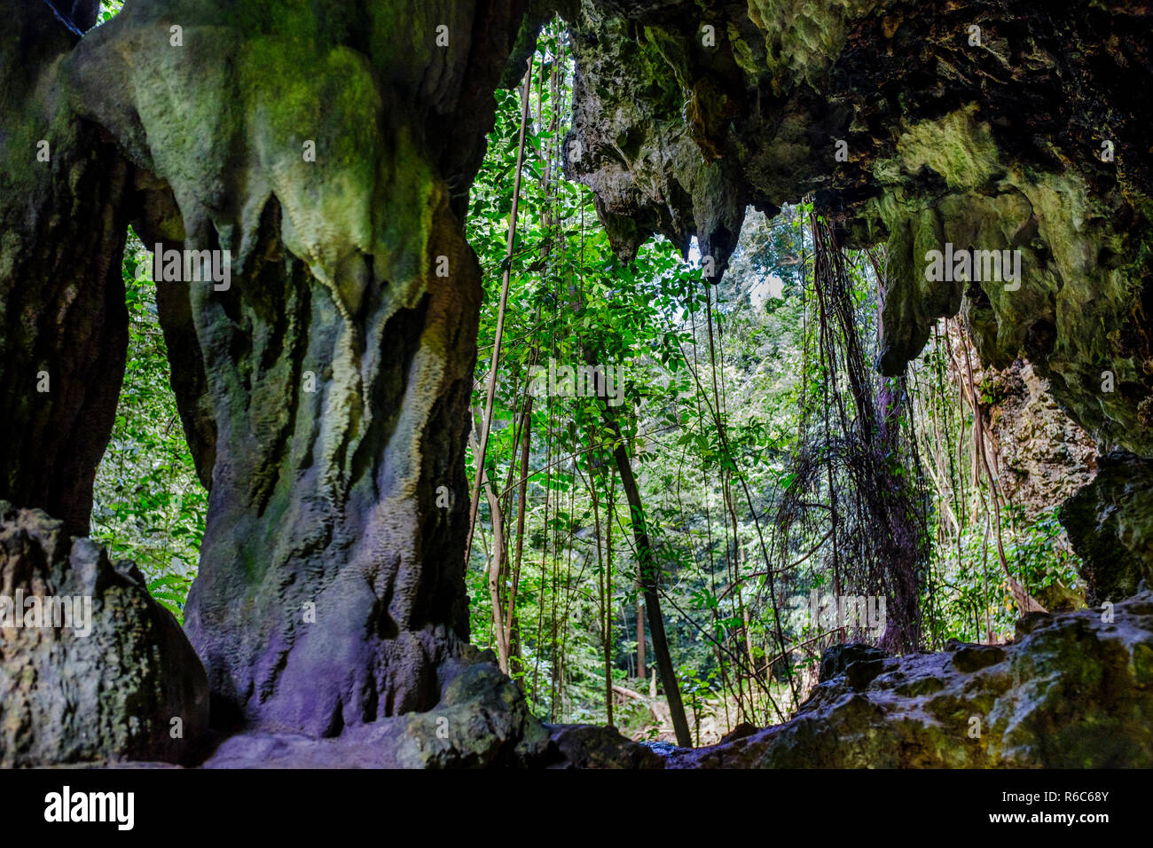 Un paseo por la exuberante jungla y acantilados de piedra caliza de Welchman Hall Gully, Barbados Foto de stock