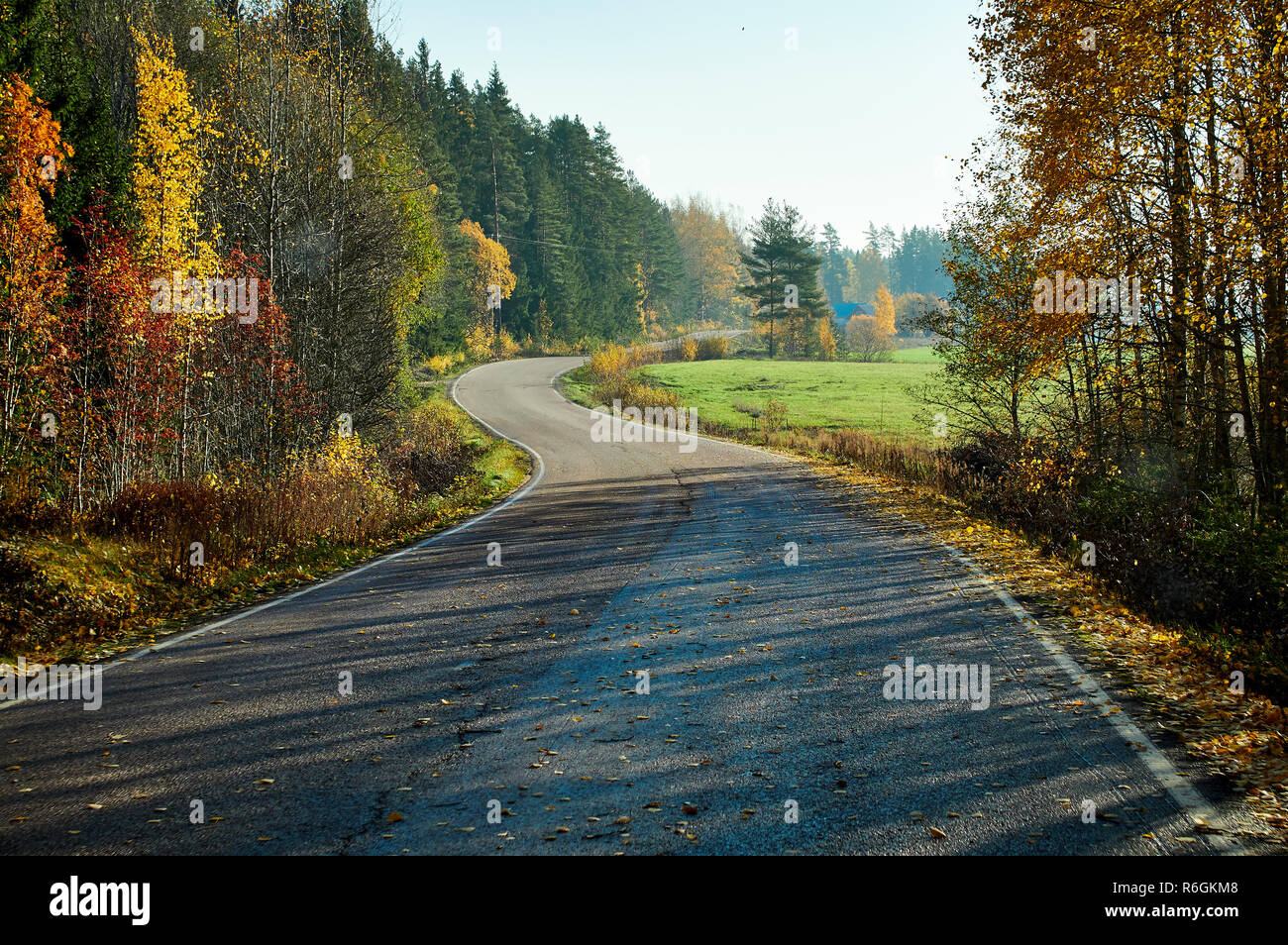 Pintorescos y hermosos colores de otoño otoño country road en Finlandia. Foto de stock