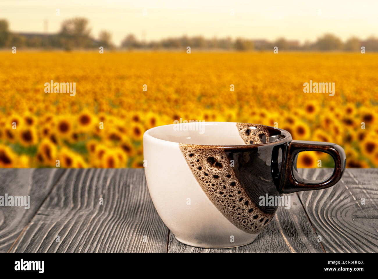 La taza de café en el fondo del campo con girasoles Fotografía de stock -  Alamy