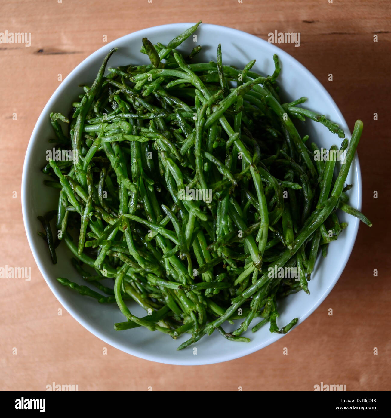 Salicornia (aka mar, espárragos, samphire glasswort, o pickleweed) - una planta comestible salado halófilo comidos como un vegetal único. Foto de stock