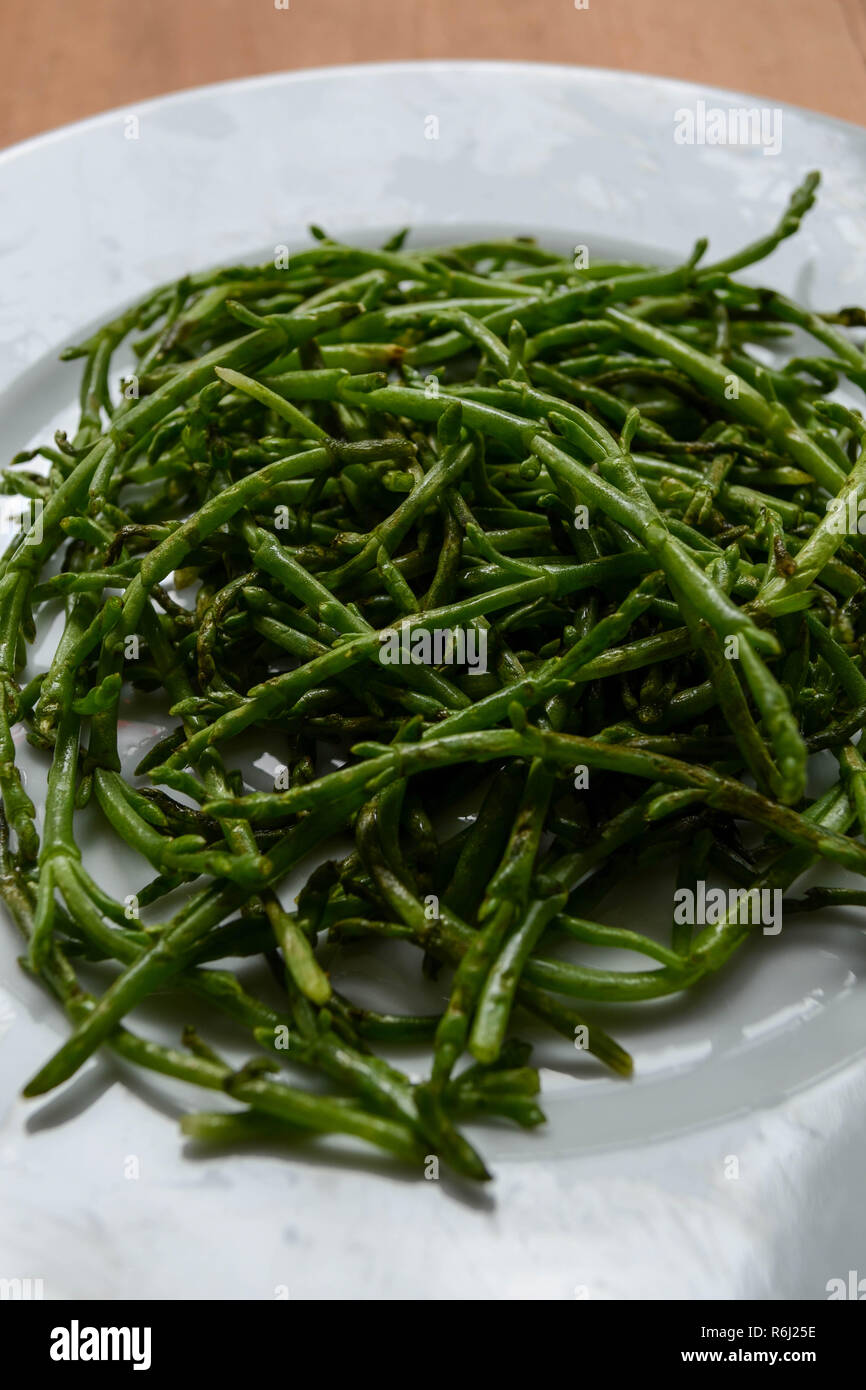 Salicornia (aka mar, espárragos, samphire glasswort, o pickleweed) - una planta comestible salado halófilo comidos como un vegetal único. Foto de stock
