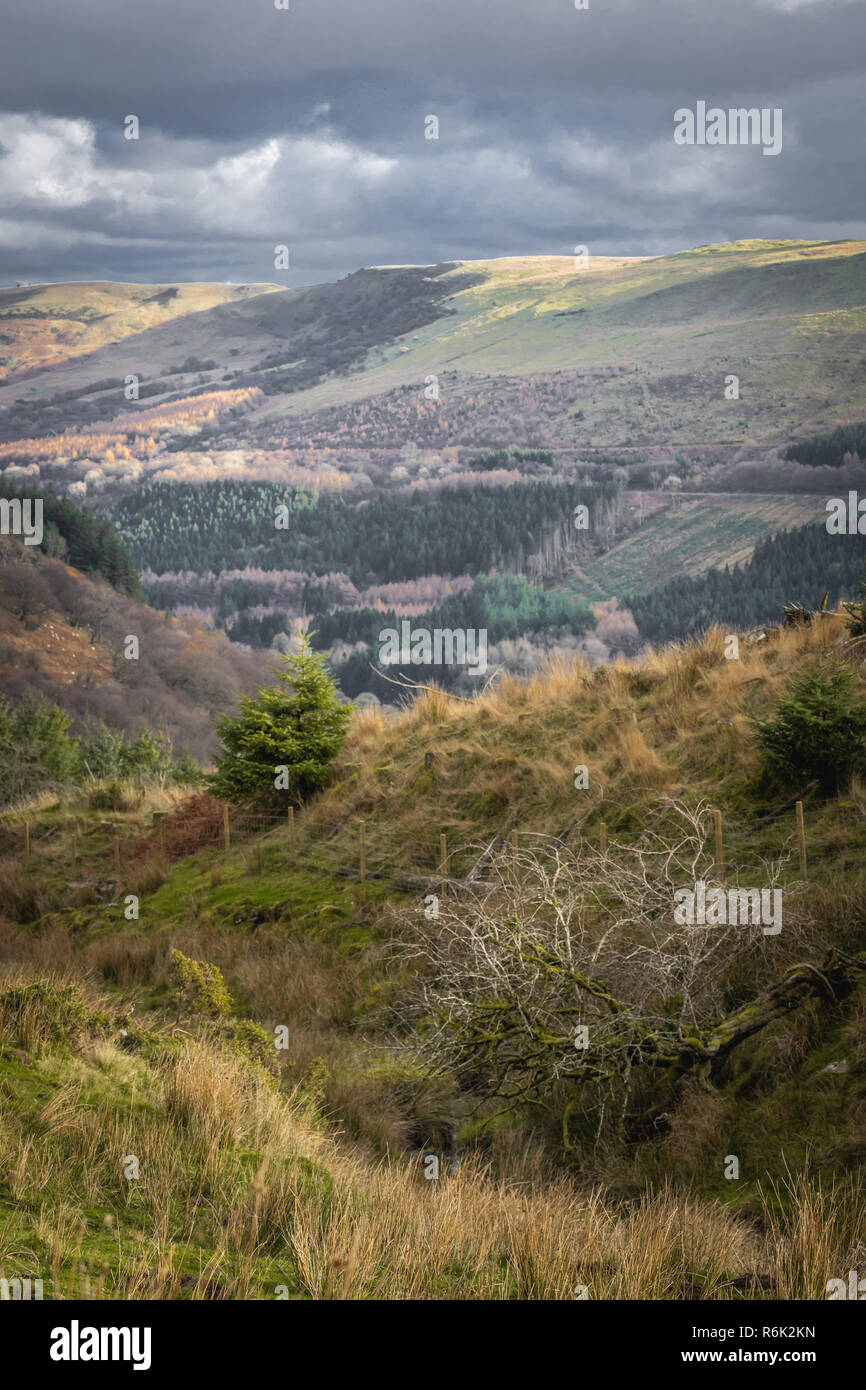 El paisaje montañoso alrededor Abercynafon en el Parque Nacional de Brecon Beacons durante el otoño moody cielo, Powys, Gales, Reino Unido Foto de stock