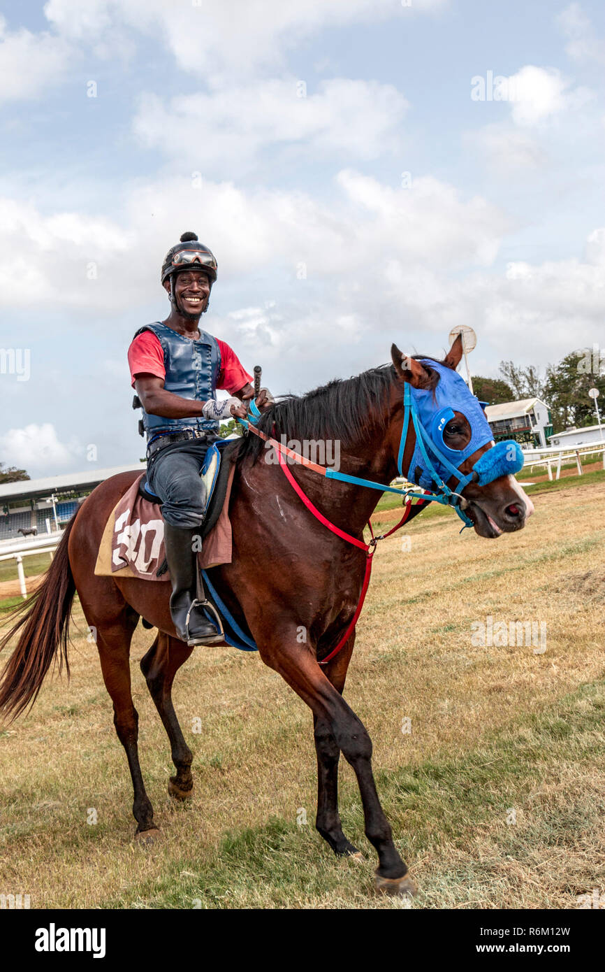 Ejercer un caballo de carreras en Garrison Savannah, histórico lugar de  carreras de caballos con una pista de hierba oval y tradicional comida de  Barbados para la venta Fotografía de stock -