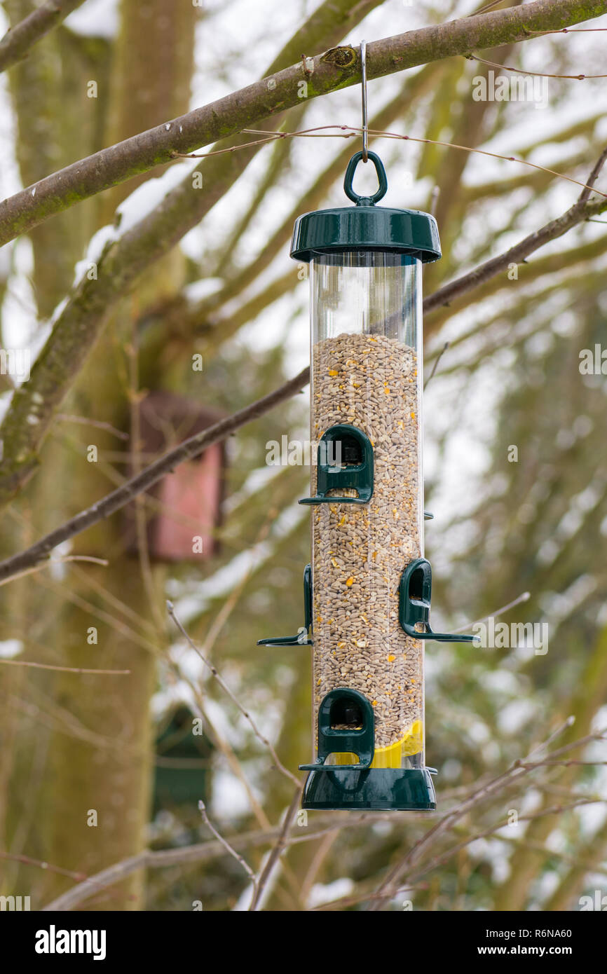 Comedero para pájaros en la rama de un árbol fotografías e imágenes de alta  resolución - Alamy