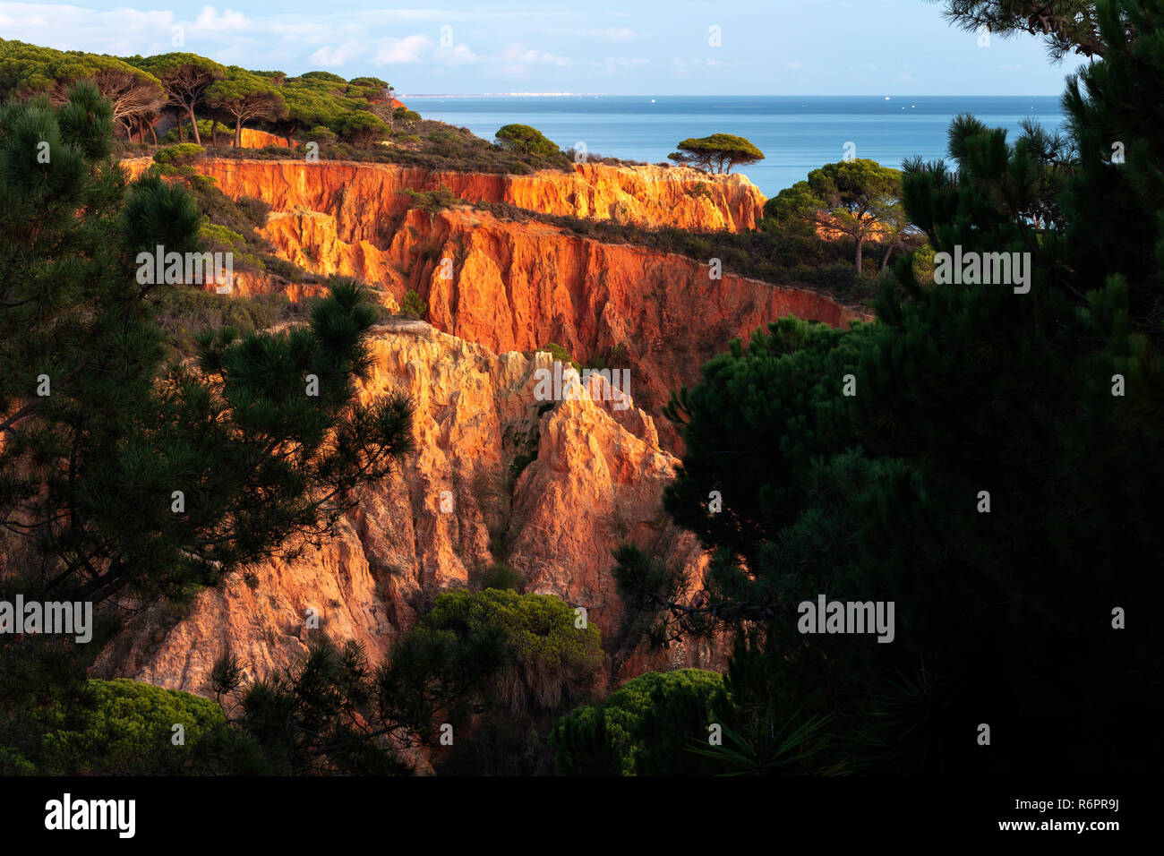 Las rocas de piedra arenisca roja y de pinos, acantilados, Praia da Falesia, Ohlhos de agua, Albufeira, Algarve, Portugal Foto de stock