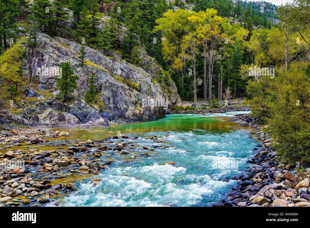 El hermoso Río Animas fluye entre Durango y Silverton, Co. es partciularly hermoso en el otoño. Foto de stock