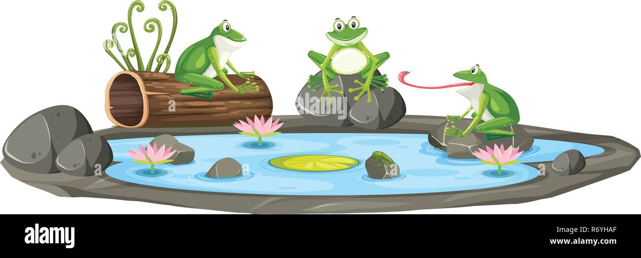 Aislada en el estanque de ranas ilustración Imagen Vector de stock - Alamy