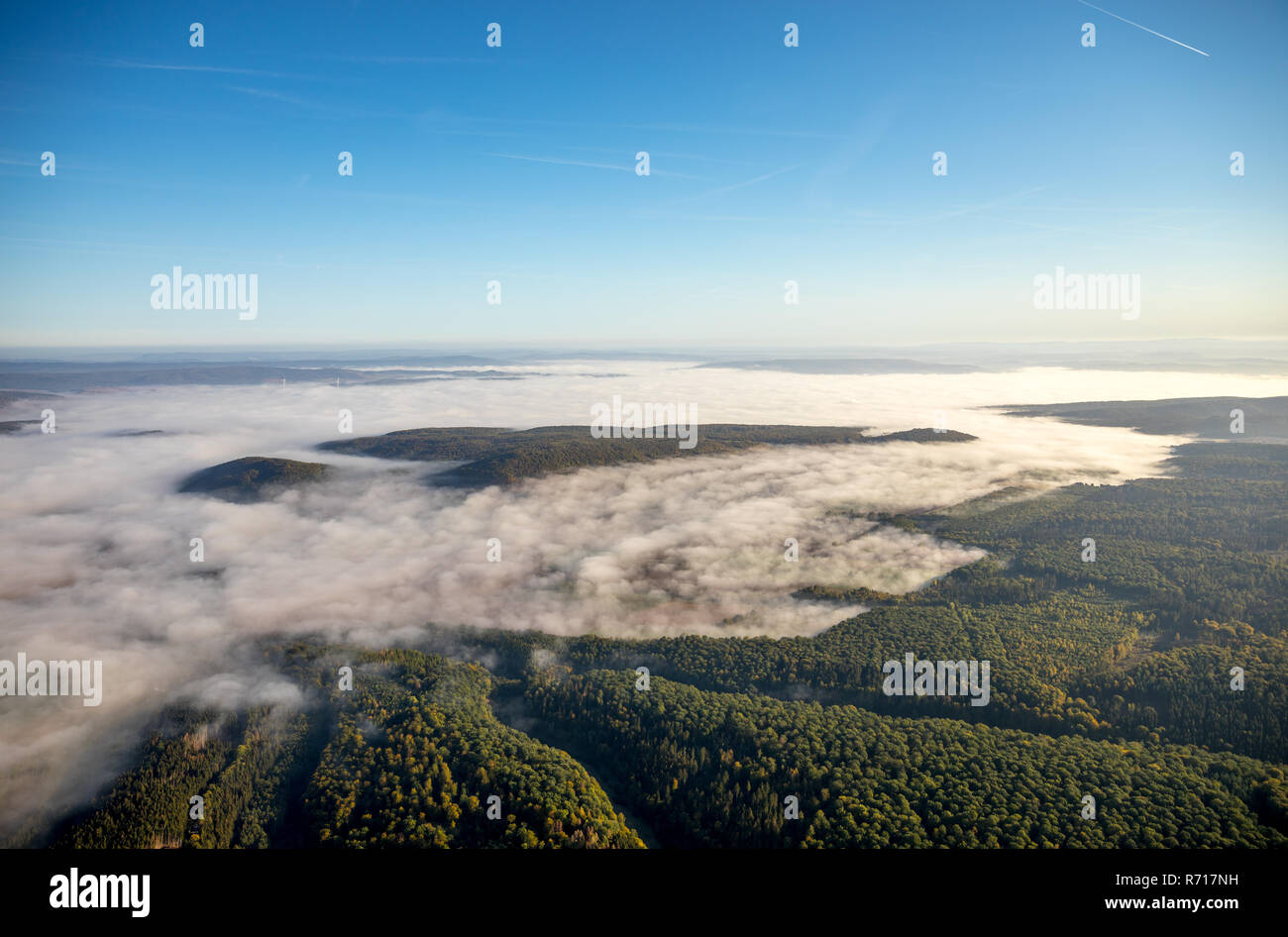 Vista aérea de alto a lo largo de bosque de niebla, cerca de Dassel, Baja Sajonia, Alemania Foto de stock