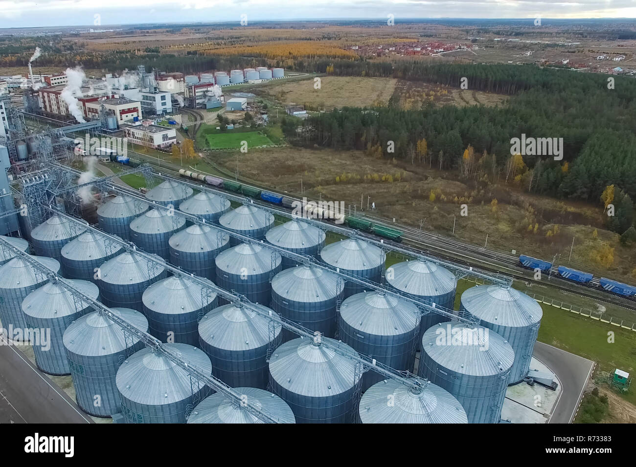 Planta de grasa. Fábrica para procesar la grasa y el aceite. La producción industrial de alimentos Foto de stock