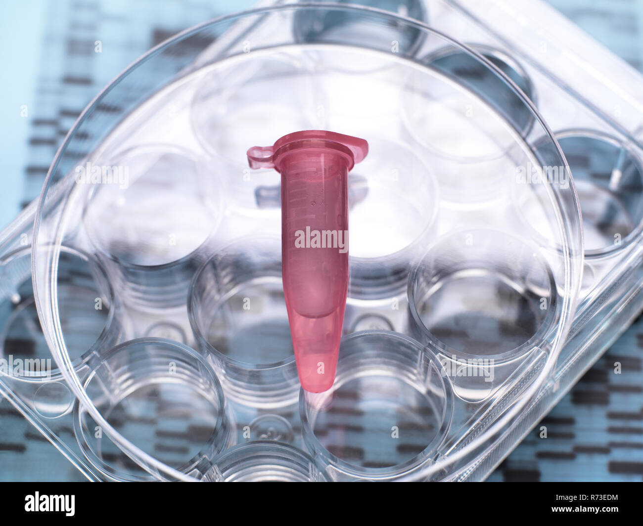 Muestra de DNA dentro del frasco en multi y placa de gel de ADN, mostrando resultados Foto de stock