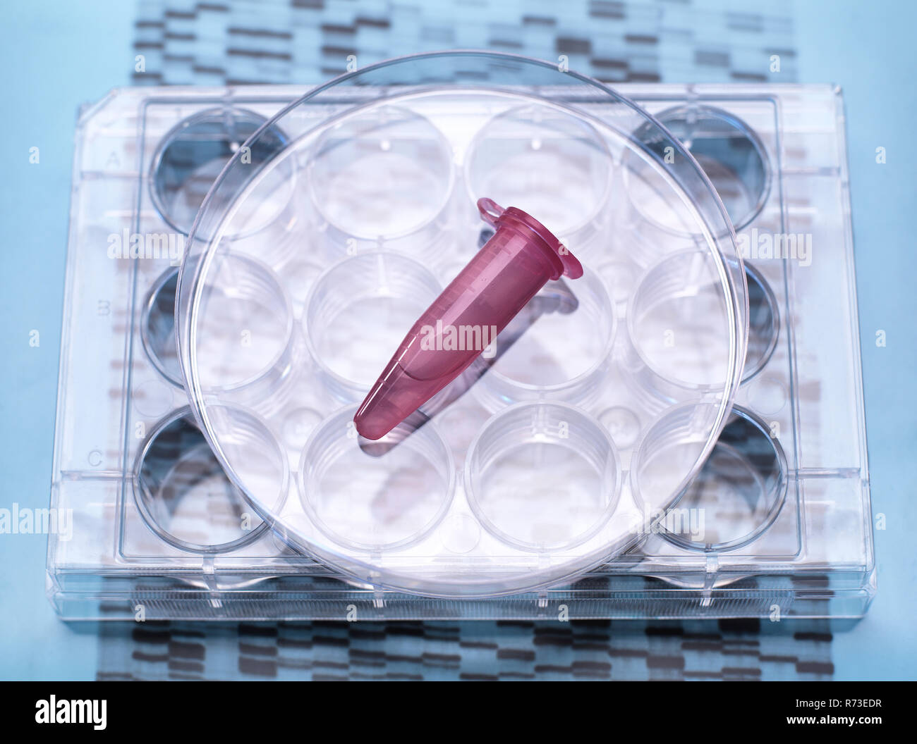 Muestra de DNA dentro del frasco en multi y placa de gel de ADN, mostrando resultados Foto de stock