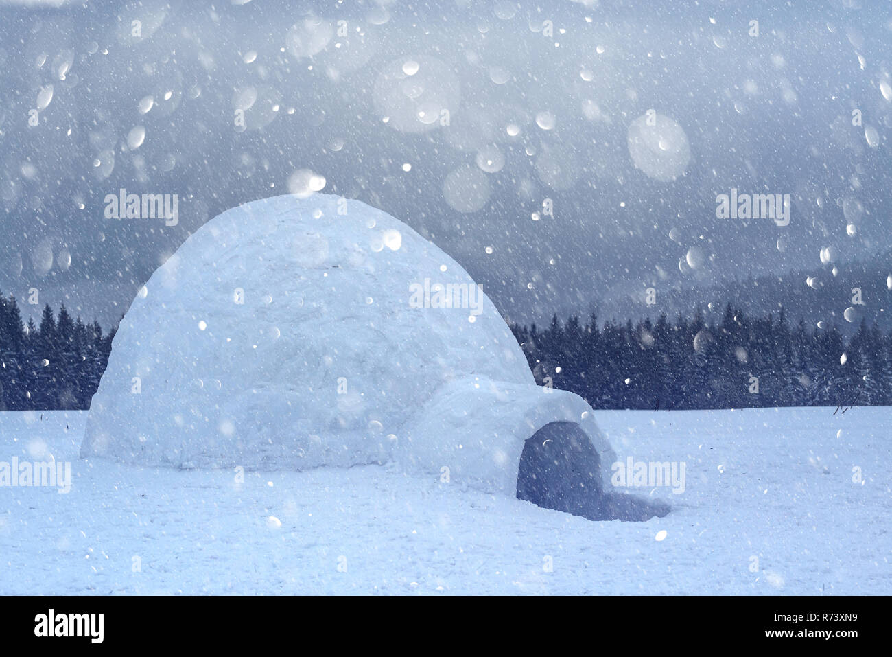 Real Casa iglú de nieve en el invierno de los montes Cárpatos. Los abetos cubiertos de nieve en el fondo. Collage de postal navideña. DOF bokeh luz efecto de postproceso Foto de stock