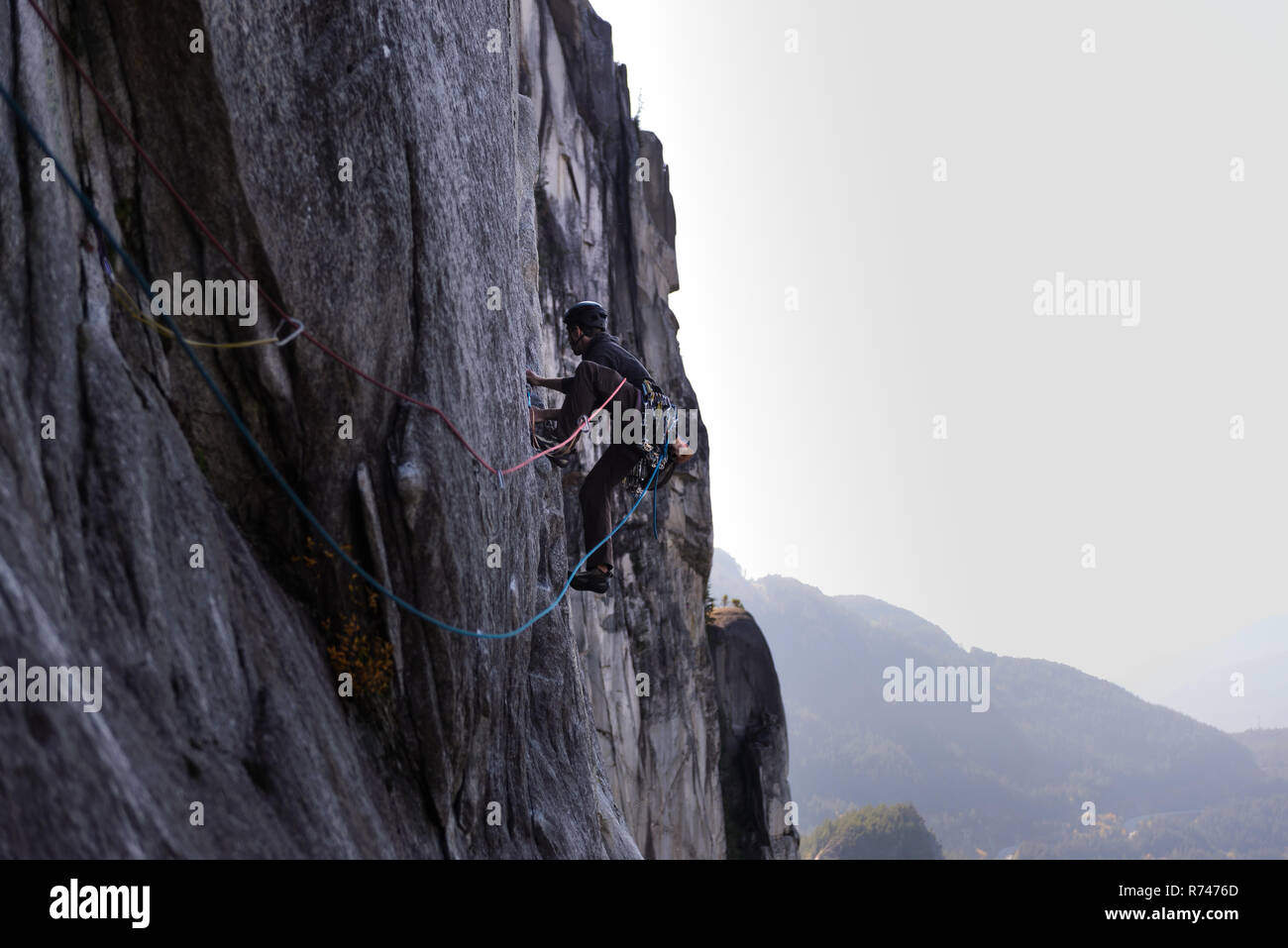 Macho joven escalador escalada cara, vista elevada, el jefe, Squamish, British Columbia, Canadá Foto de stock