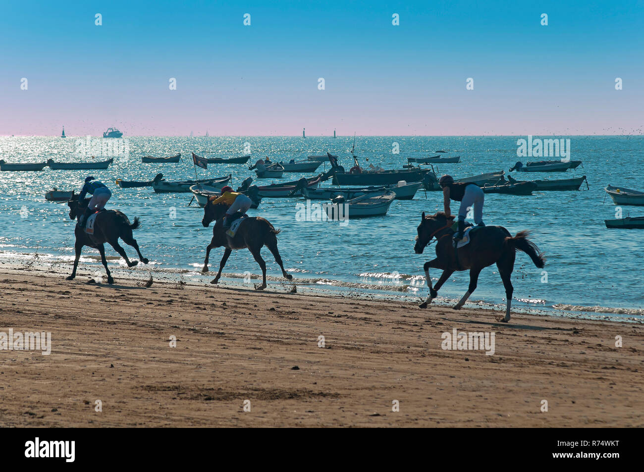 Tradicionales carreras de caballos en la playa - desde 1845. Sanlucar de Barrameda. La provincia de Cádiz. Región de Andalucía. España. Europa Foto de stock