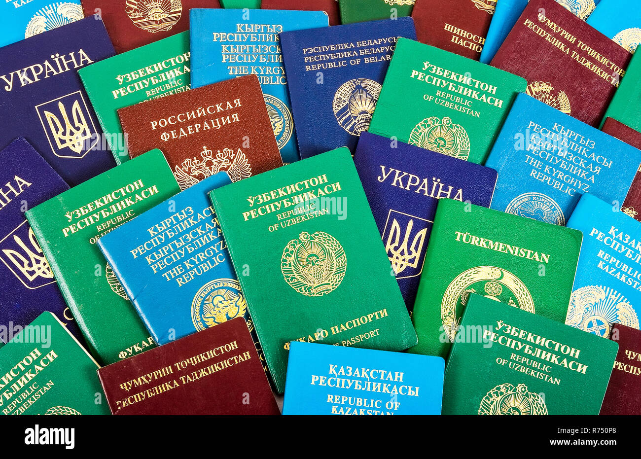 Los Pasaportes Extranjeros De Diferentes Colores De Fondo
