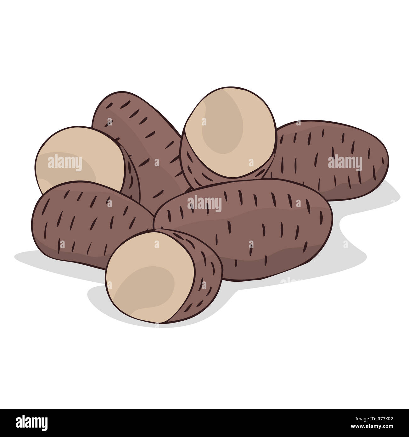 Aislar los tubérculos de patata russet maduras Foto de stock