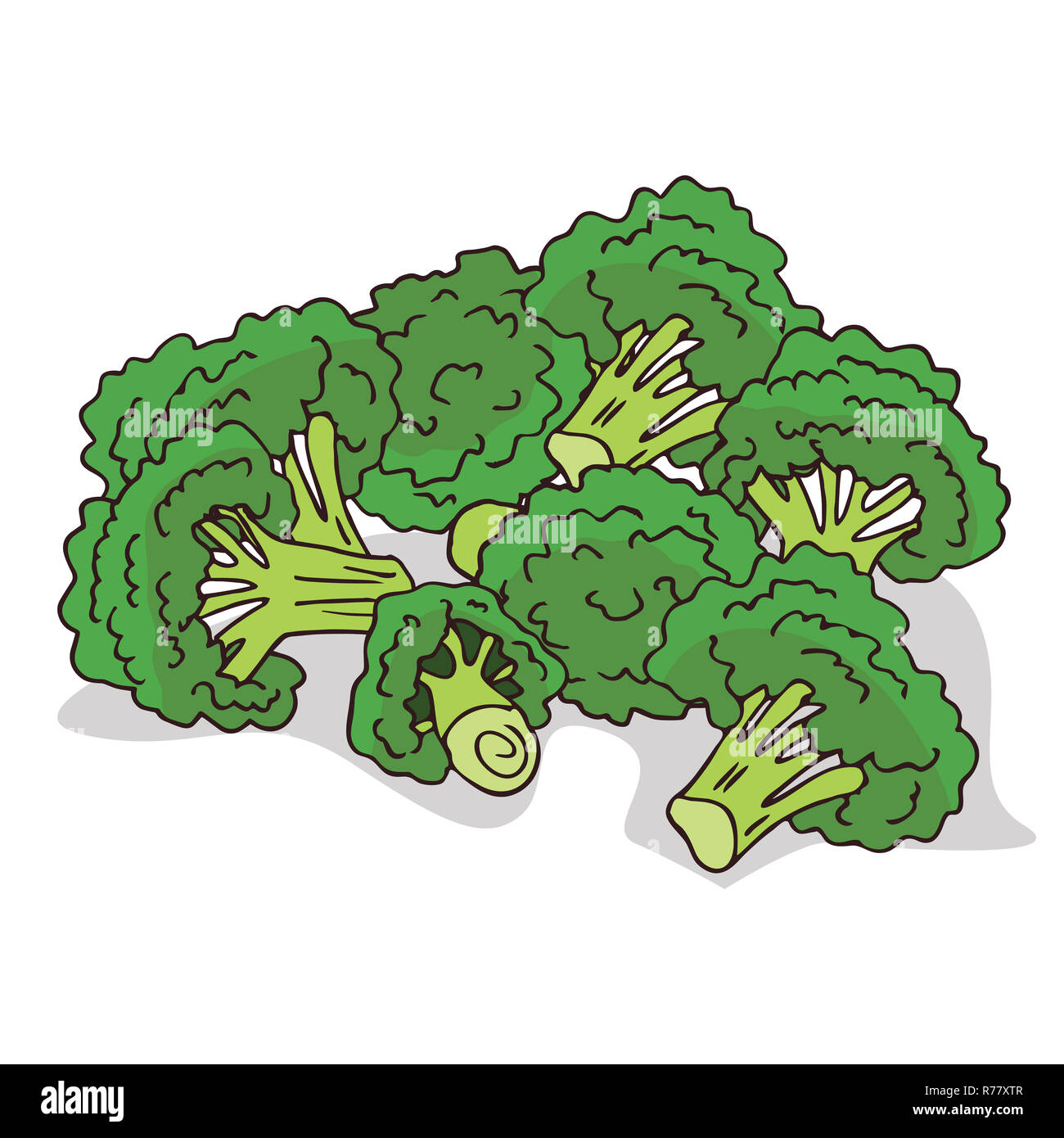 Aislar el brócoli tallos maduros Foto de stock