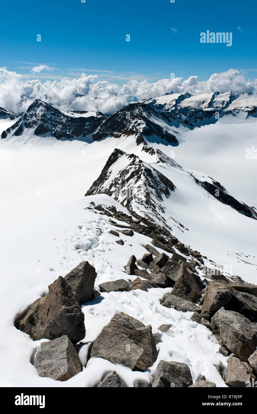 Vista de picos nevados de los Alpes desde Mt Vertainspitze Alta Cima Vertana, Laaser Ferner, un glaciar de Los Alpes Ortler Foto de stock