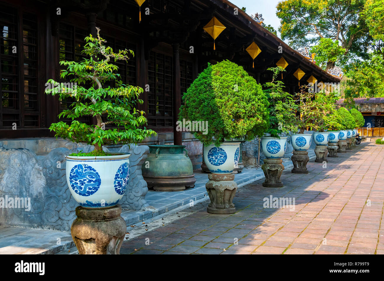 Bonsai fuera del Museo de Antigüedades Reales, Hue, Vietnam, Sudeste Asiático Foto de stock