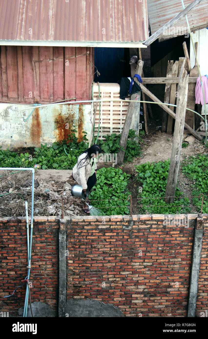 Señora laosiana regando su parche vegetal. Foto de stock