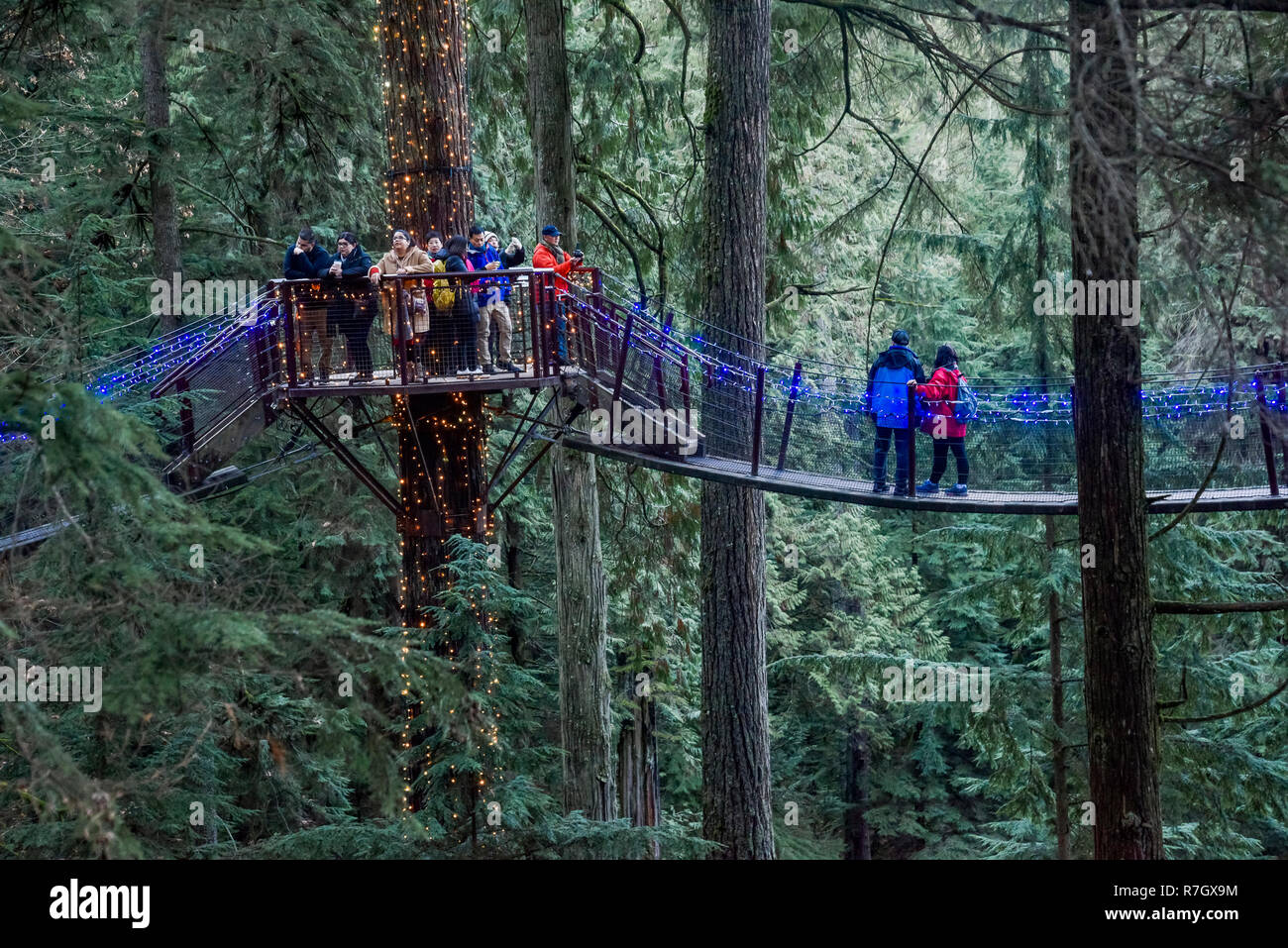 El Treetops Adventure y el Cañón de luces, Capilano Suspension Bridge Park, North Vancouver, British Columbia, Canadá Foto de stock