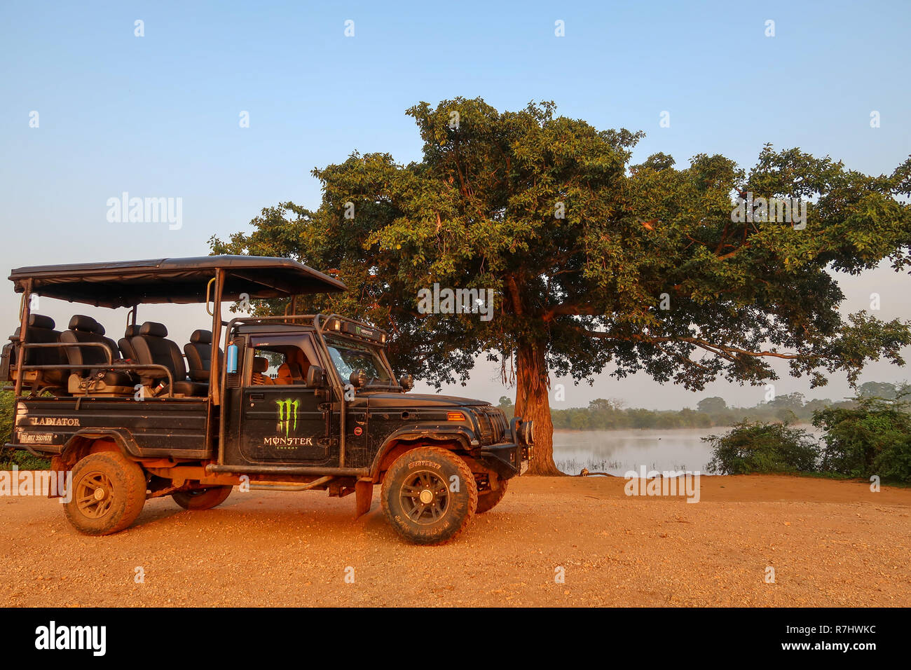 Jeep en frente de un gran árbol. Parque Nacional Udawalawe, Sri Lanka Foto de stock