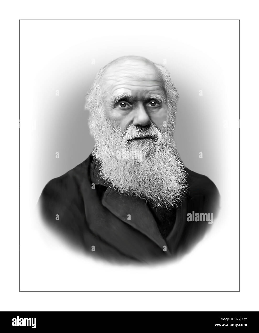 Teoría de darwin fotografías e imágenes de alta resolución Página 2