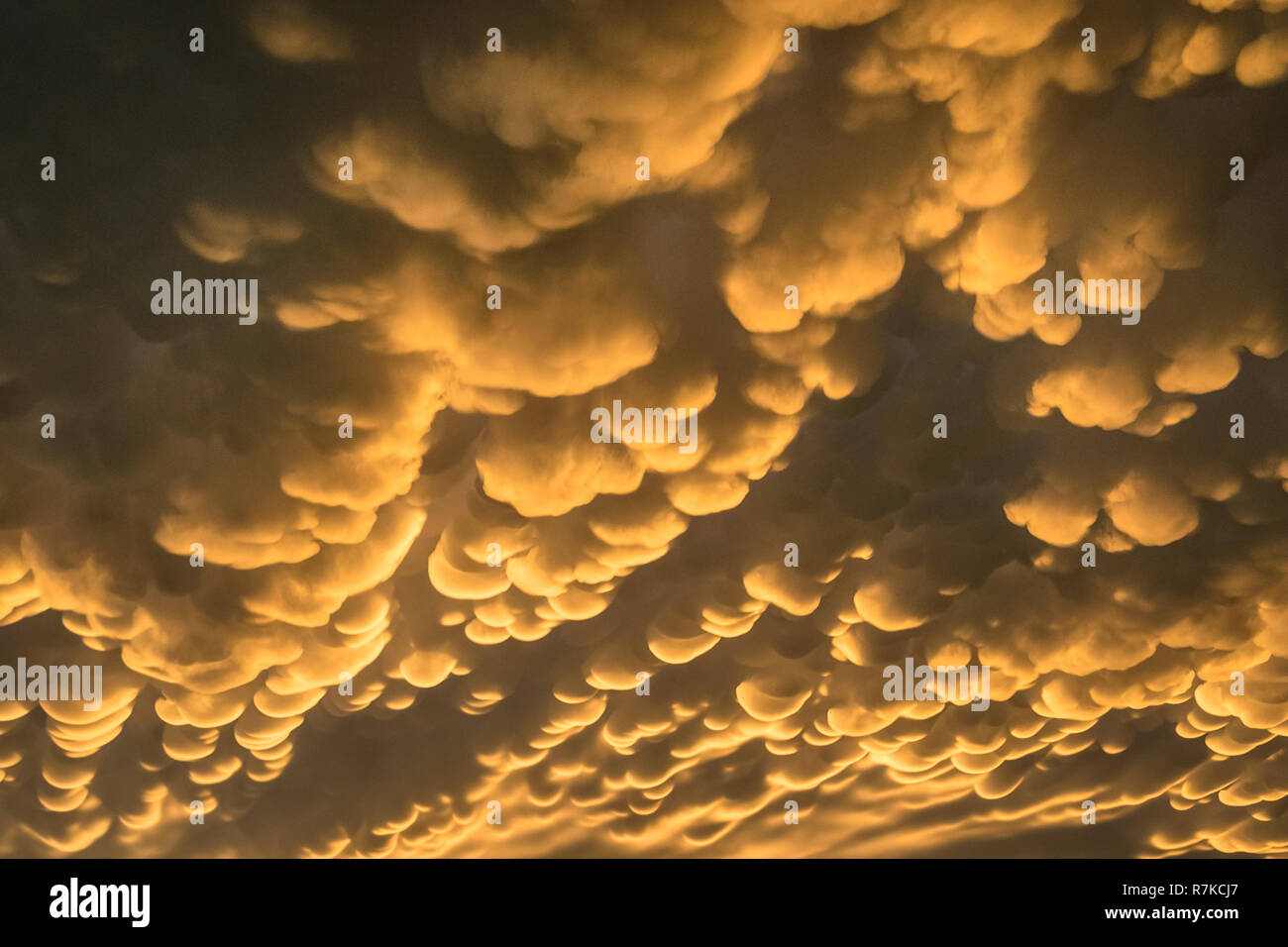 Captura detallada de mammatus nubes por debajo de el yunque de una tormenta severa. Fotografiado en la parte de atrás de una fuerte tormenta en el norte de Nebraska Foto de stock