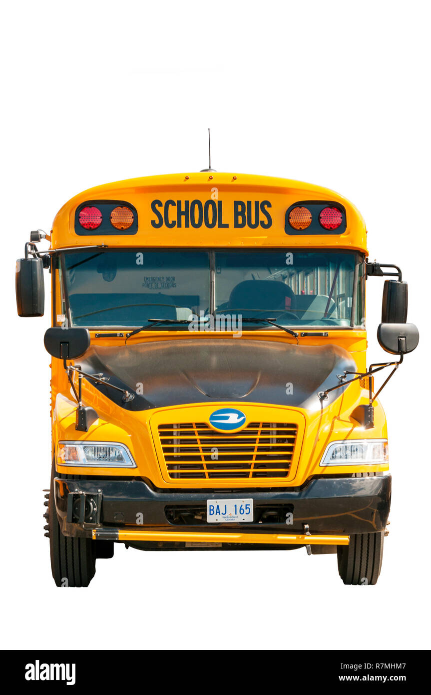 Vista frontal de un recorte de un autobús escolar amarillo. Foto de stock