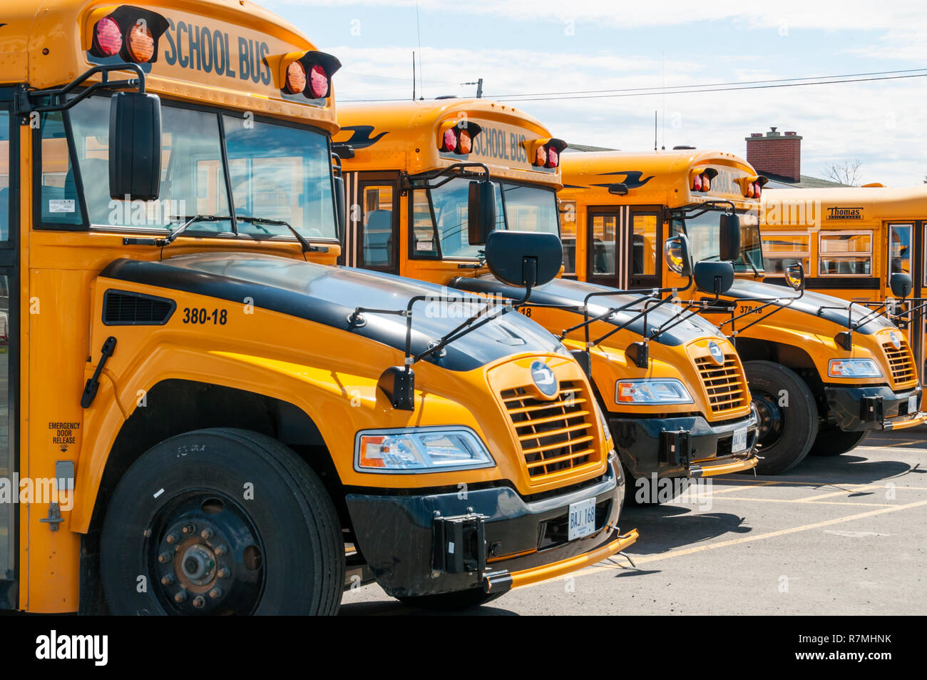 Una línea de autobuses amarillos escolares estacionados. Foto de stock