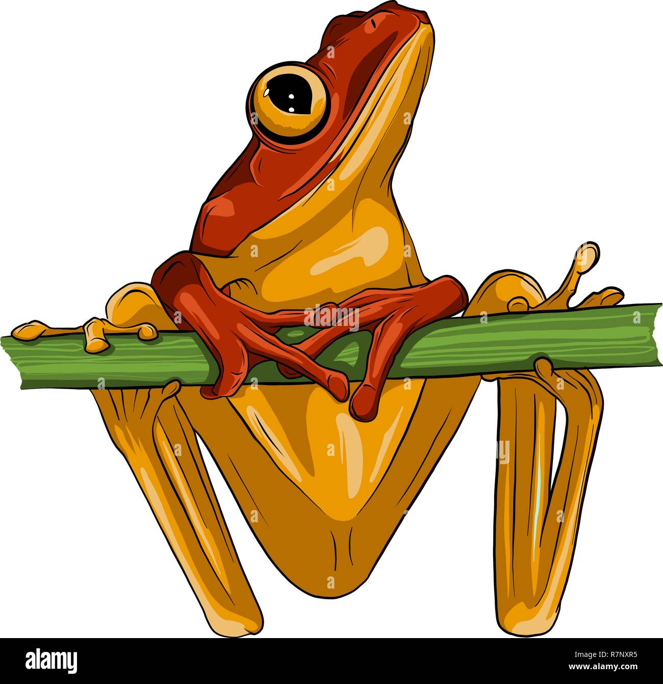 Coqui outline fotografías e imágenes de alta resolución Alamy