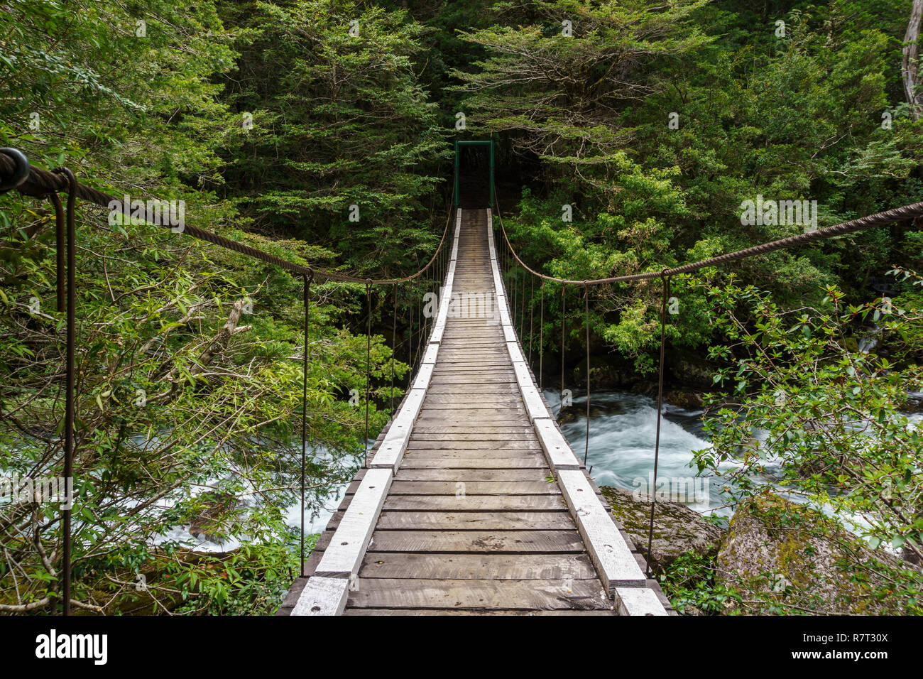 Puente Colgante de madera sobre el Cantaros en el Parque Nacional Nahuel Huapi, Bariloche, Patagonia, Argentina Fotografía de stock -