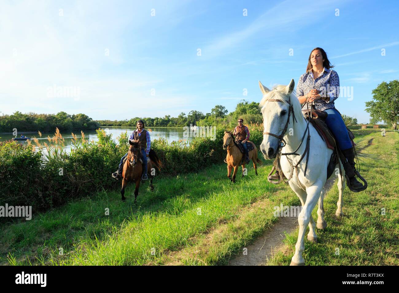 Francia, Bouches du Rhône, Parque Natural Regional de Camarga, Les Saintes Maries de la Mer, La Cavale, paseos a caballo Foto de stock