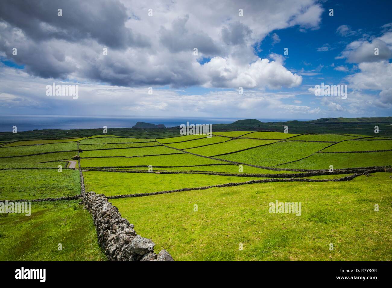 Portugal, Azores, Isla Terceira, Serra do Cume, muro de piedra Foto de stock