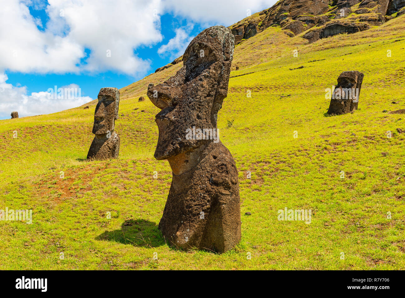 Las estatuas moai de Rano Raraku que no llegaron nunca a su plataforma o Ahu en la isla de Rapa Nui (Isla de Pascua) en el Océano Pacífico, Chile. Foto de stock
